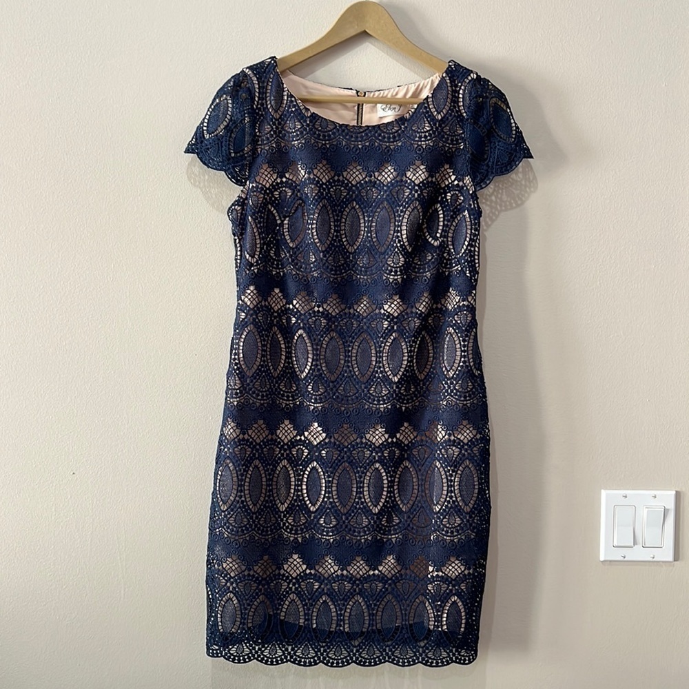 Eliza J Navy Lace Cocktail Dress in size 6